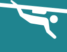 Flying Fox