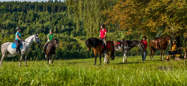 Reiten