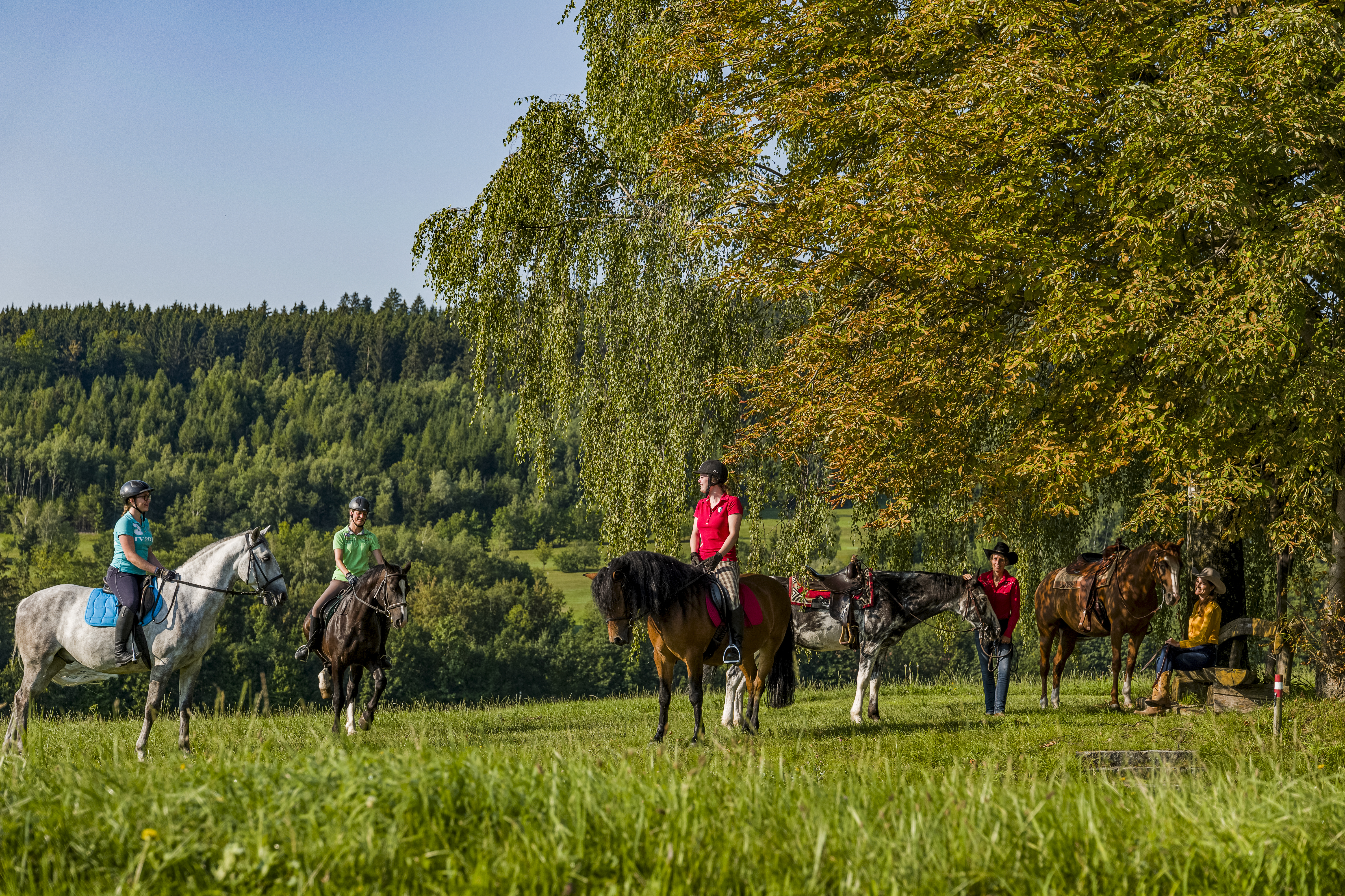 DIE BESTEN CLUBS ZUM REITEN