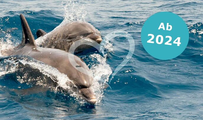 Aldiana Club Naga Bay 2024/2025 ClubUrlaub.de