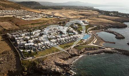 Bild von  The Royal Blue